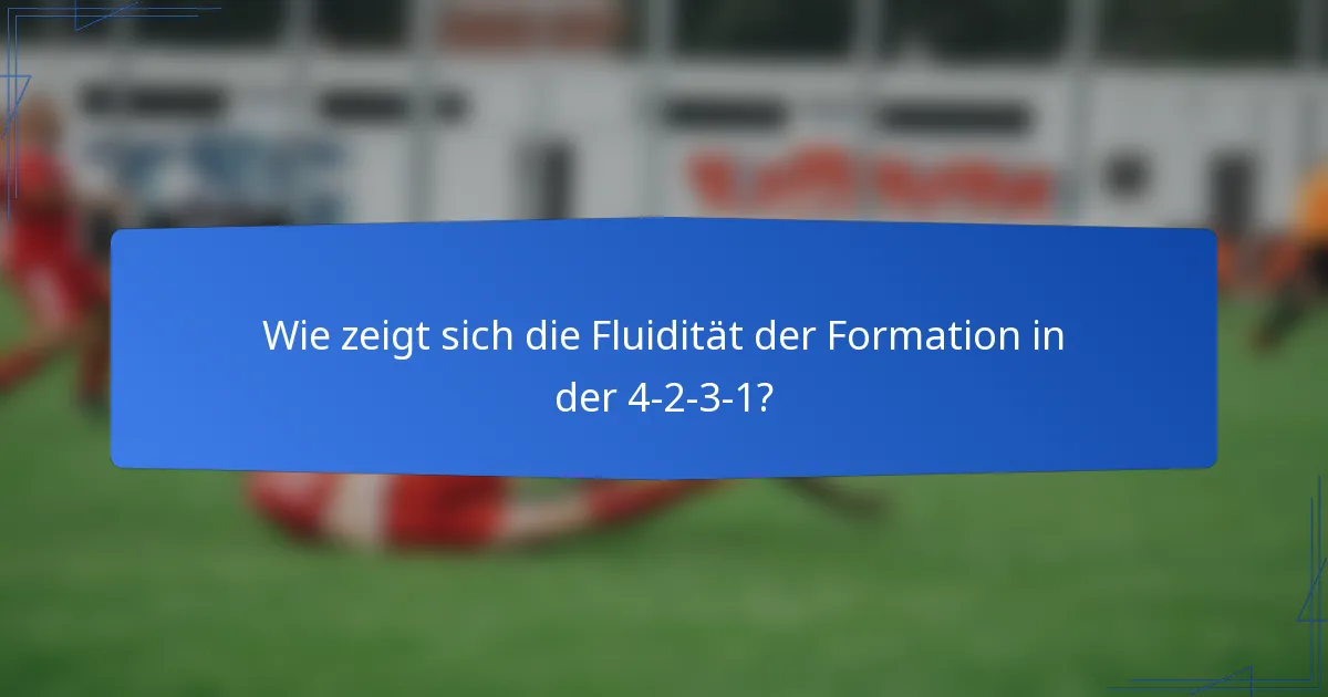 Wie zeigt sich die Fluidität der Formation in der 4-2-3-1?